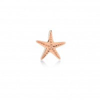 Seastar, Sterling Silver Earring (Sold INDIVIDUALLY).